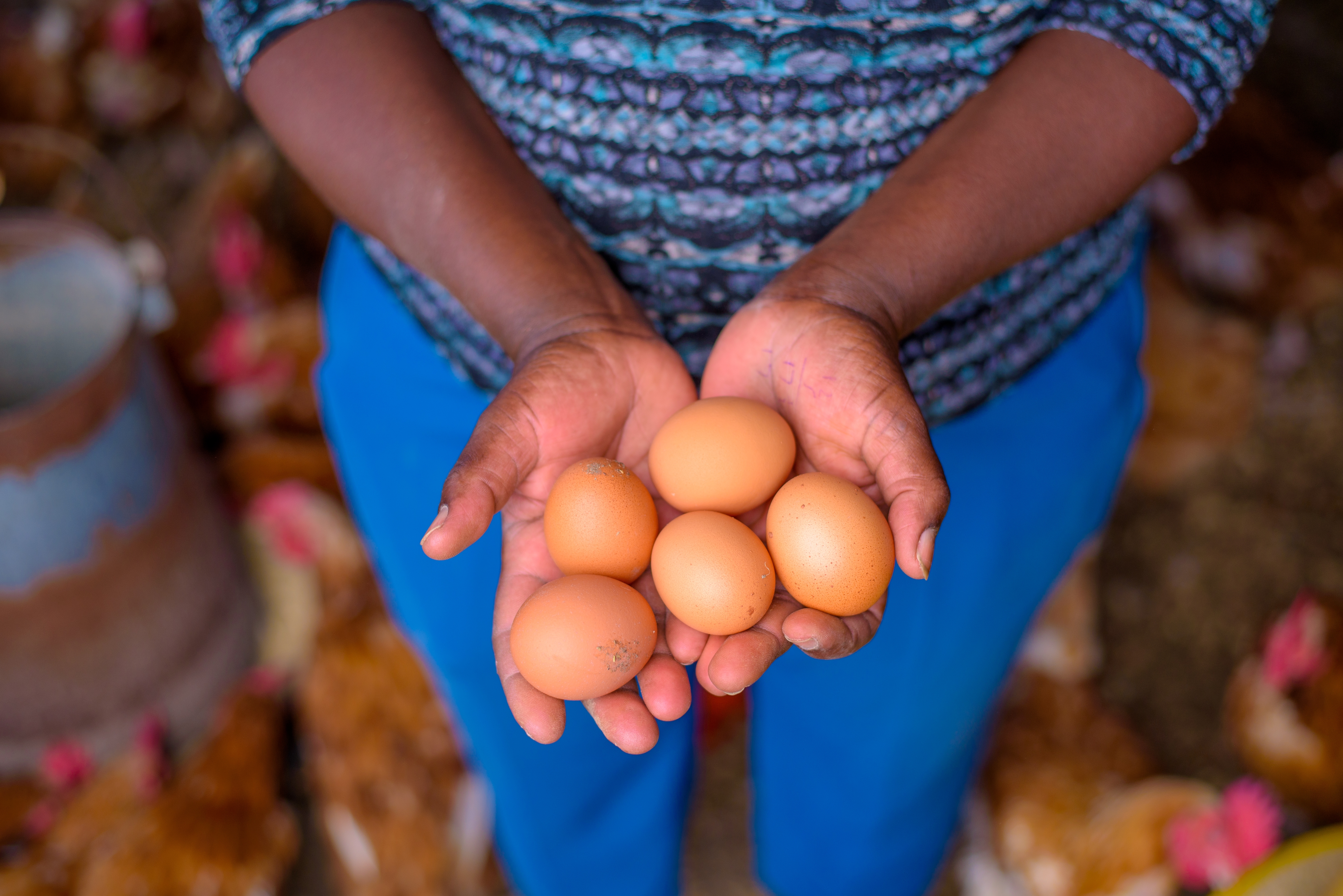Resource Recovery for Food Security